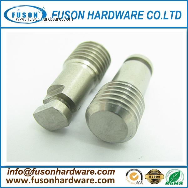 Stainless Steel Custom Screw for Rubber/Plastic/ Custom Screws with high quality for Butt Rest