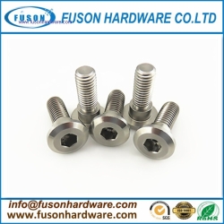 Stainless Steel Step Screws/Hex Socket Head Multi-Step Screw/ Shoulder Screw