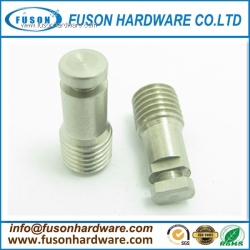 Stainless Steel Custom Screw for Rubber/Plastic/ Custom Screws with high quality for Butt Rest